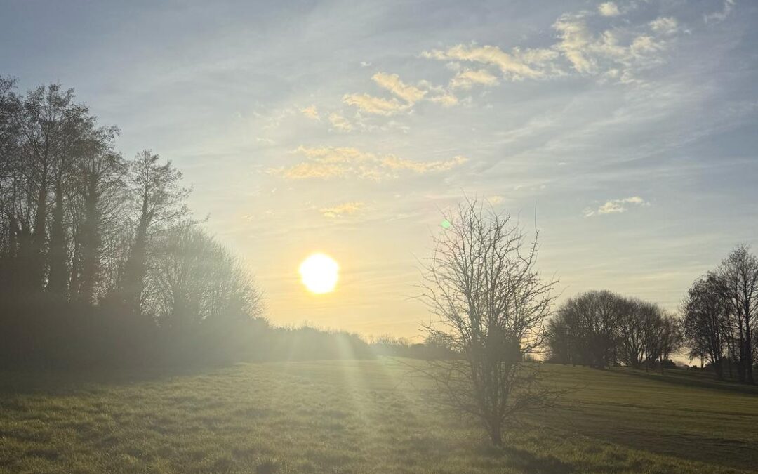 O’Hara Solicitors Completes March Madness: 10,000 Steps a Day for Cancer Research UK