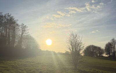 O’Hara Solicitors Completes March Madness: 10,000 Steps a Day for Cancer Research UK